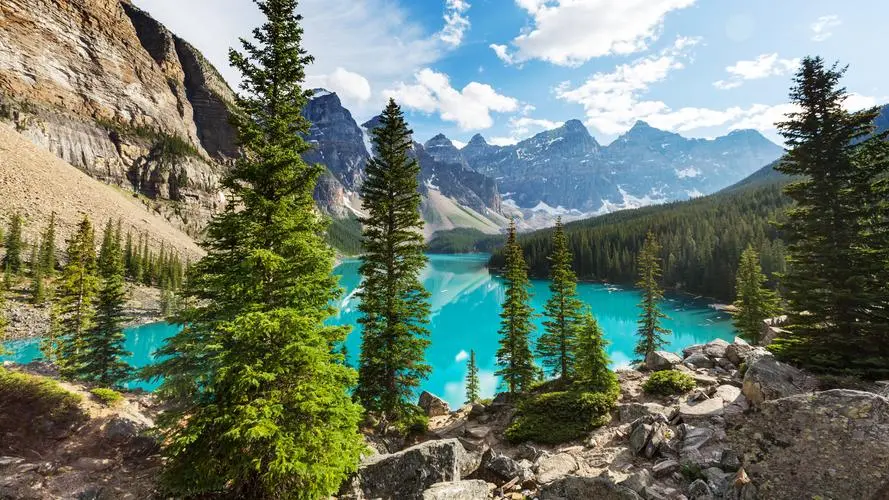 高质量独特